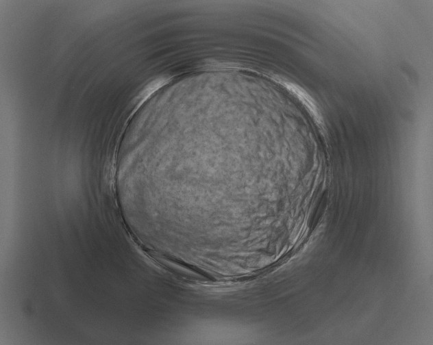X0000116281193200912291347