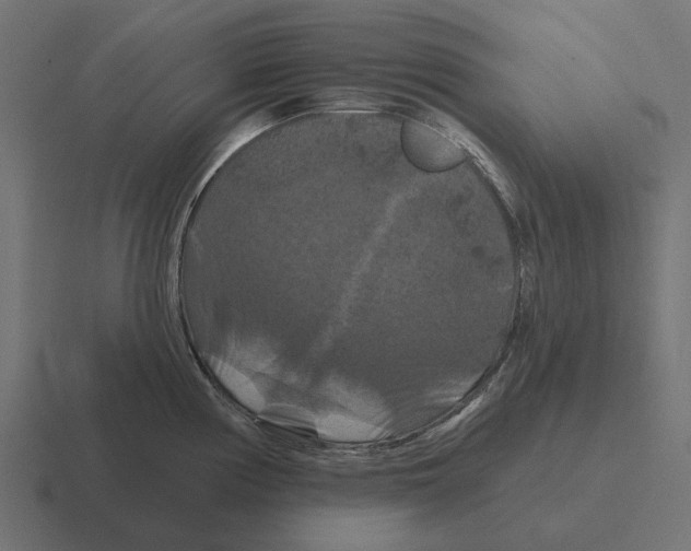 X0000116281194200912291347