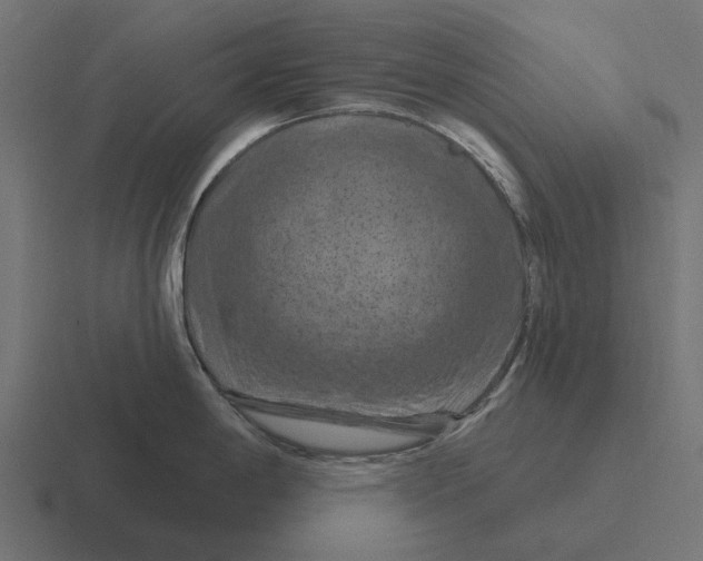 X0000116281198200912291347