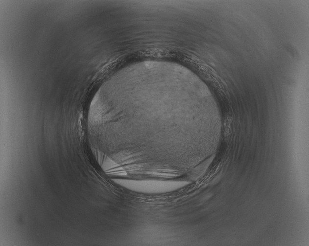 X0000116281202200912291346