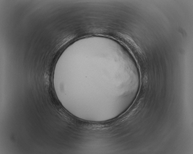 X0000116281209200912291346