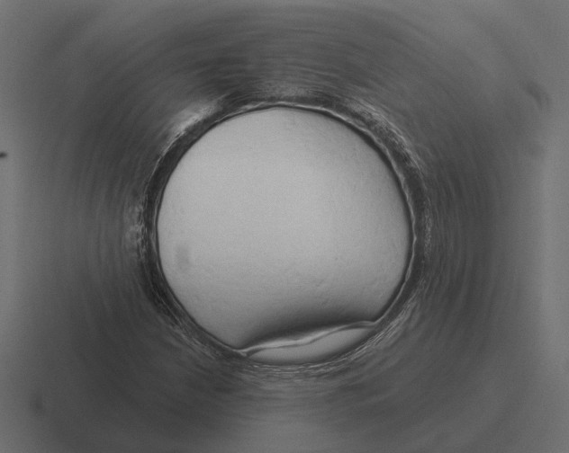 X0000116281210200912291346
