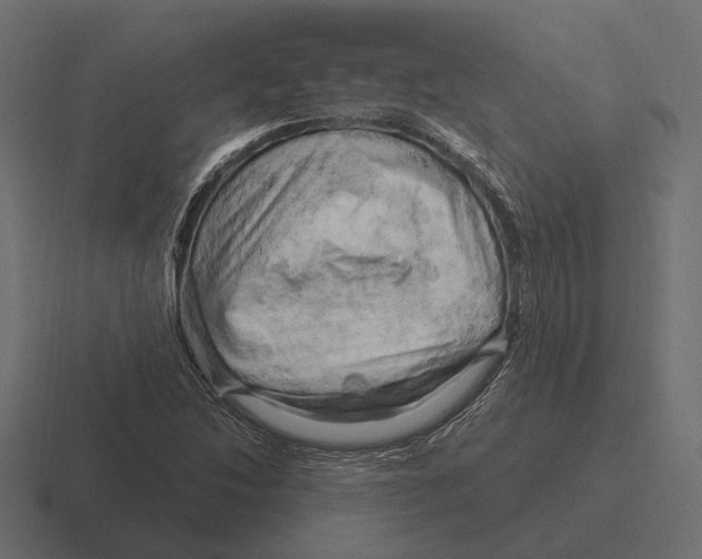 X0000116281214200912291346