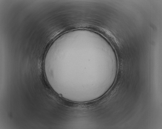 X0000116281217200912291346