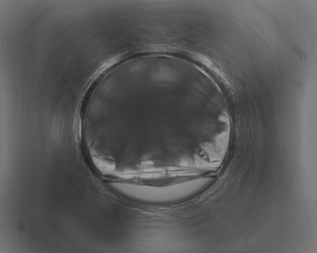 X0000116281221200912291346