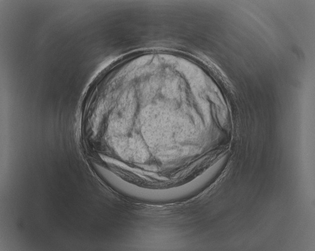 X0000116281224200912291346