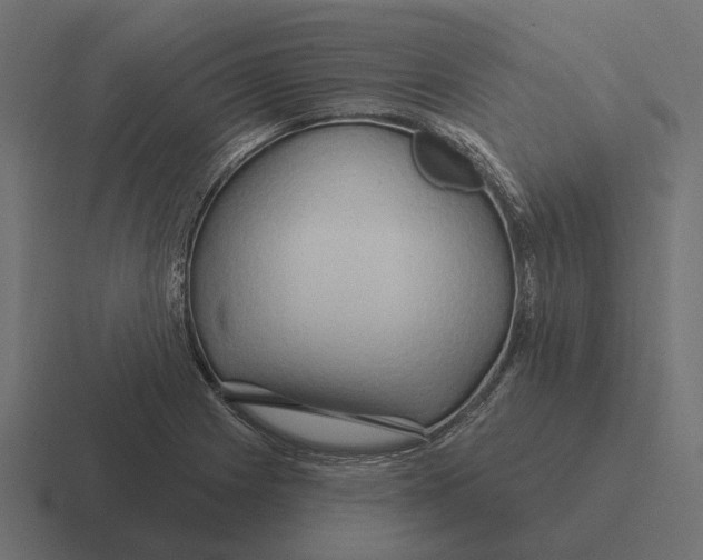 X0000116281225200912291346