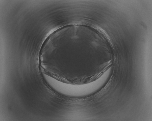 X0000116281226200912291346