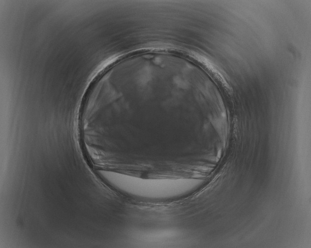 X0000116281229200912291346