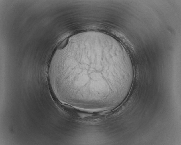 X0000116281233200912291346