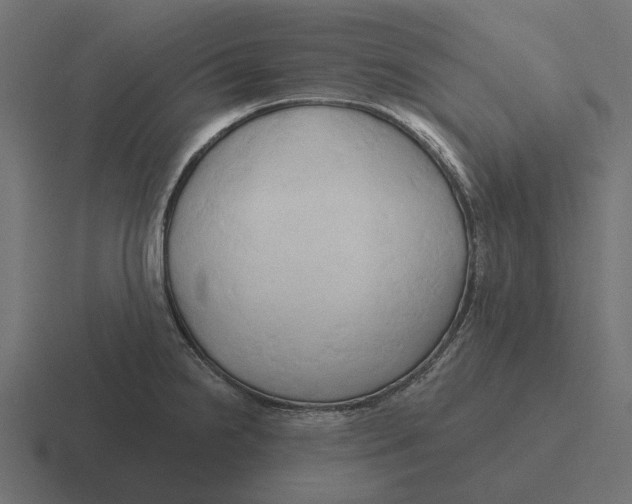 X0000116281238200912291346