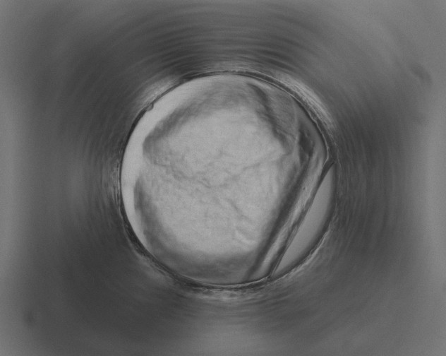 X0000116281241200912291347