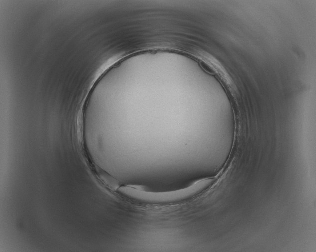 X0000116281242200912291347