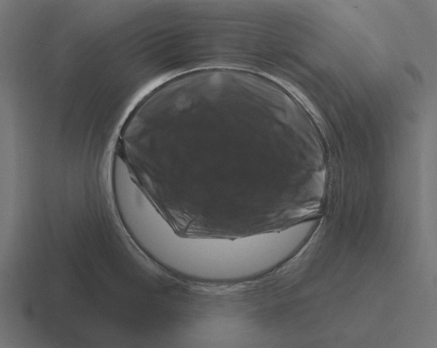 X0000116281246200912291347