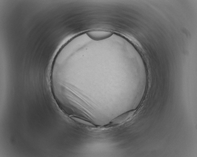 X0000116281248200912291347