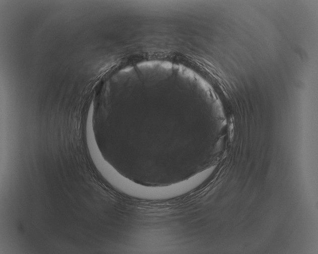 X0000116281252200912291346