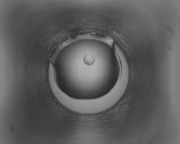 X0000116281253200912291346