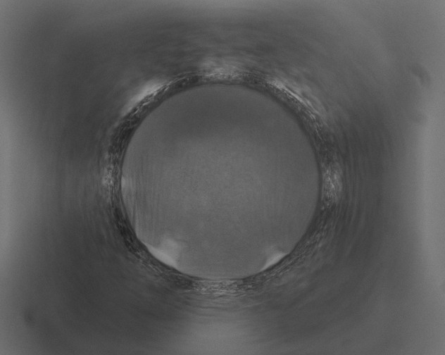 X0000116281254200912291346