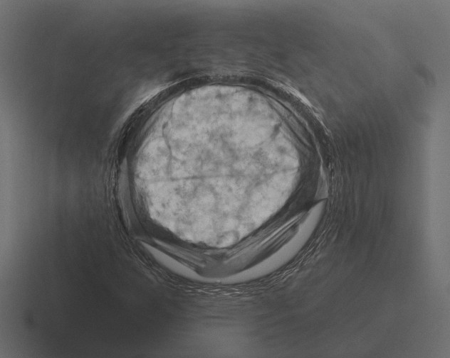 X0000116281255200912291346