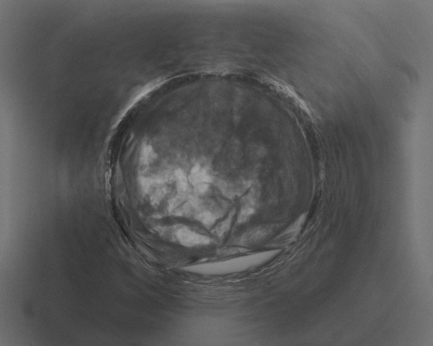 X0000116281256200912291346