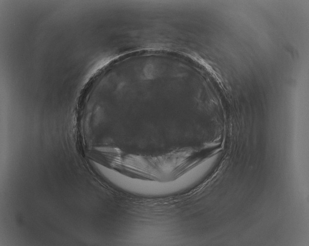 X0000116281263200912291346