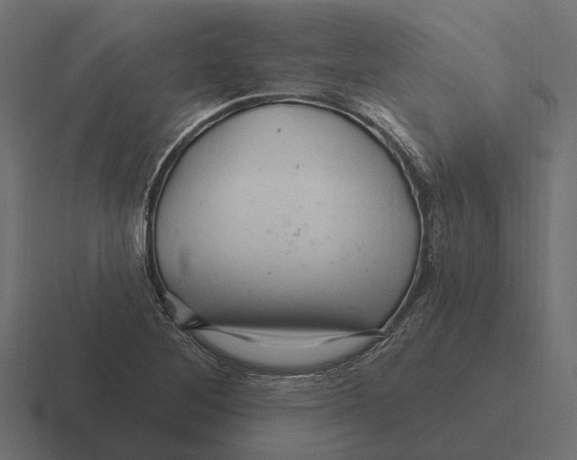 X0000116281268200912291346