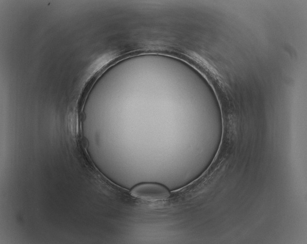 X0000116281269200912291346