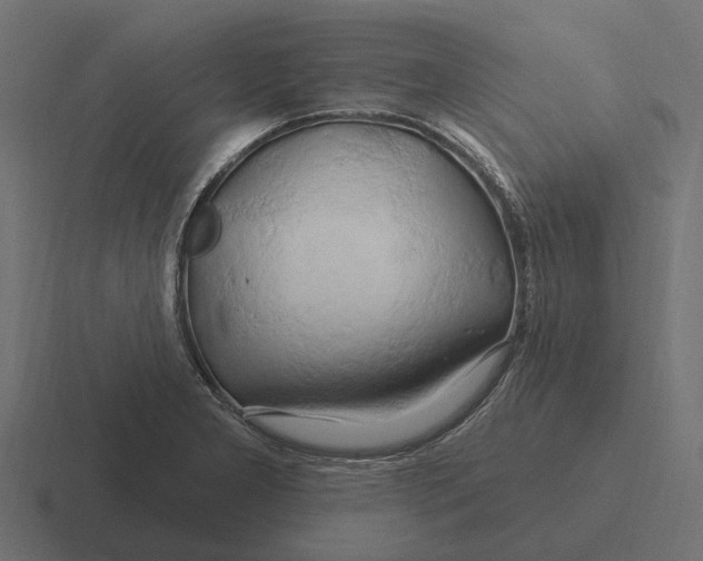 X0000116281277200912291346