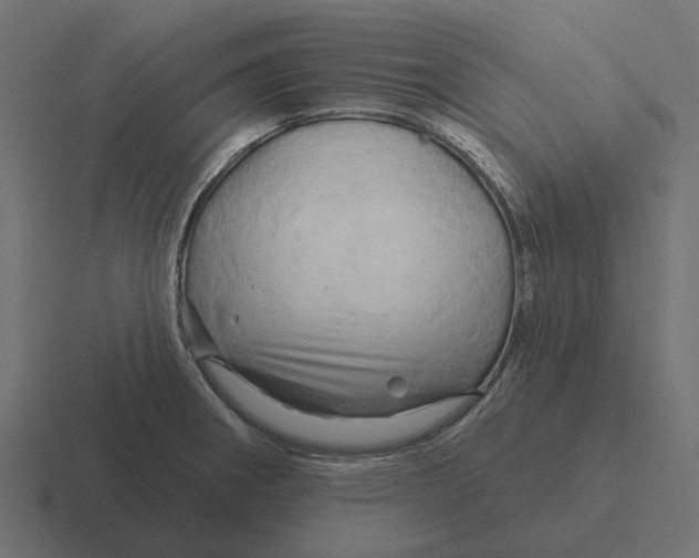 X0000116281282200912291346