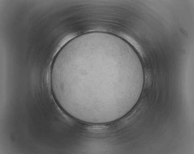 X0000116281290200912291346