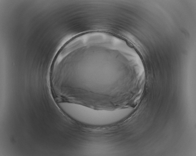 X0000116281291200912291345