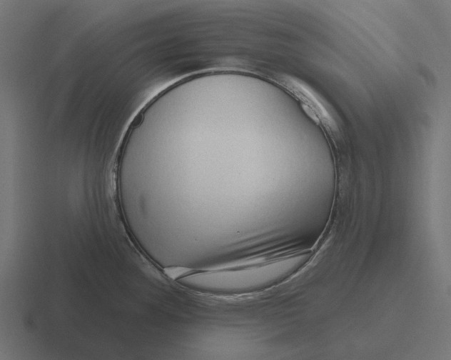 X0000116281292200912291345