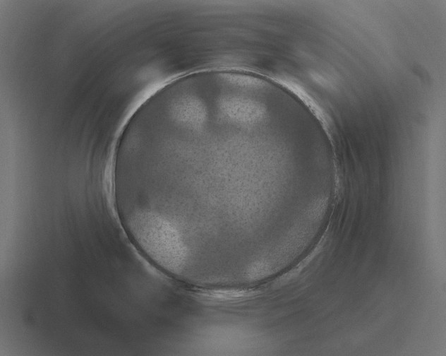 X0000116281294200912291345