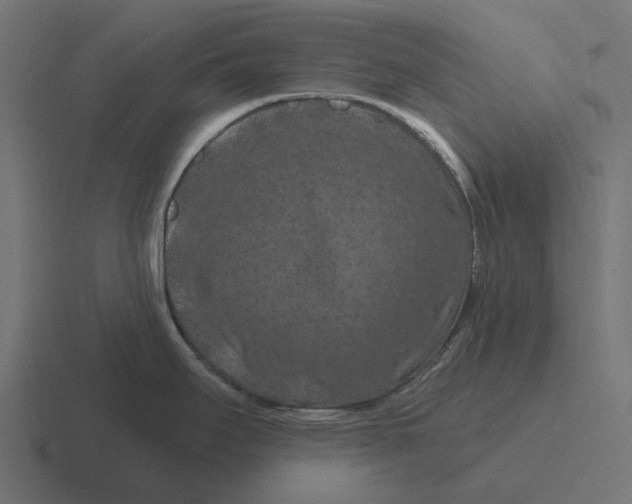 X0000116281295200912291345
