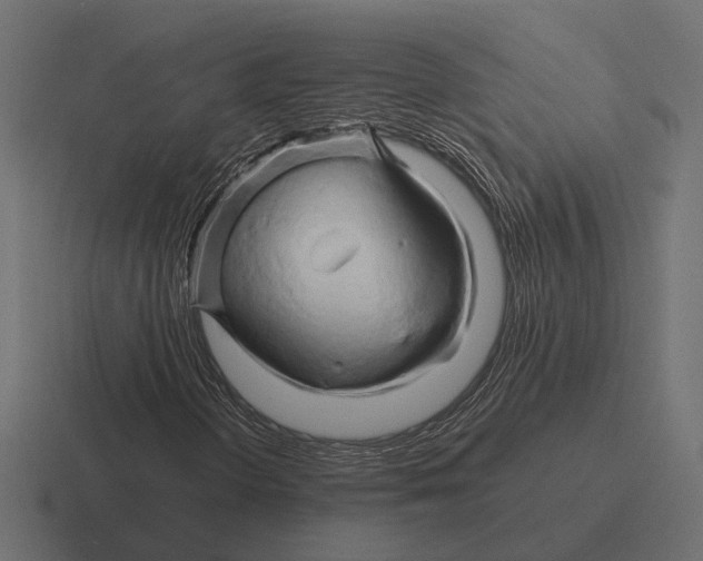 X0000116281298200912291345