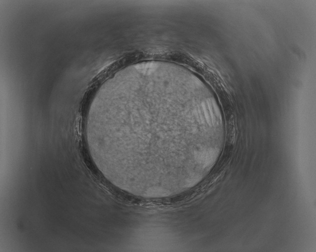 X0000116281301200912291345