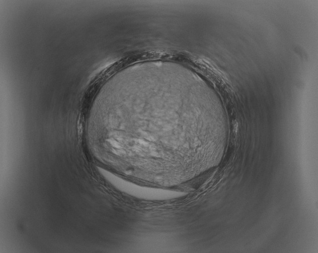 X0000116281302200912291345