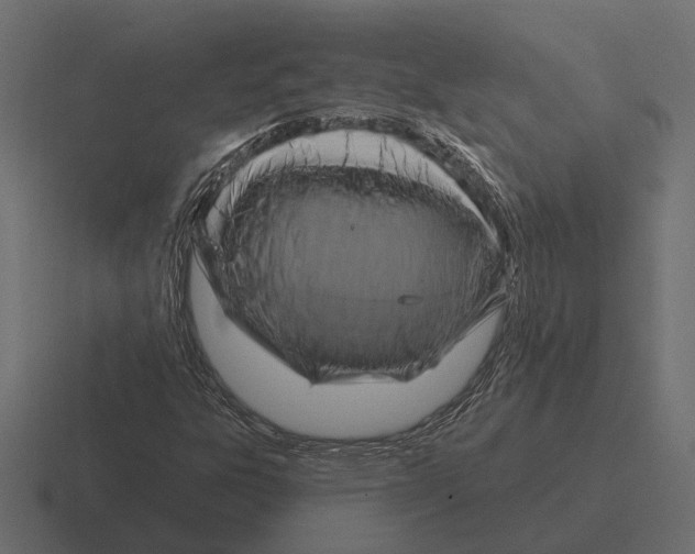 X0000116281303200912291345