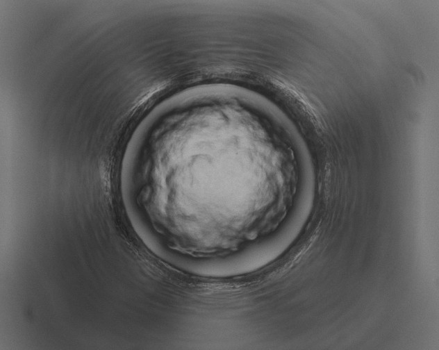 X0000116281305200912291345