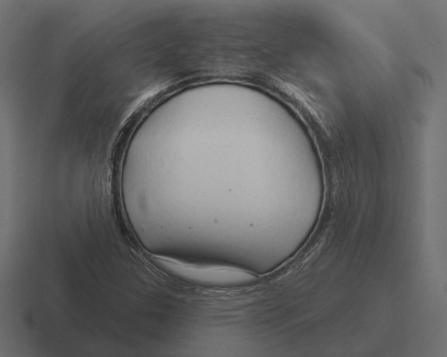 X0000116281307200912291345
