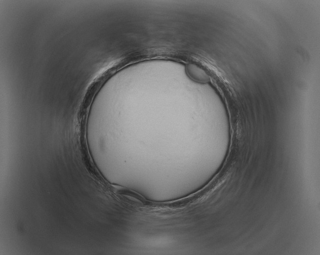 X0000116281309200912291345