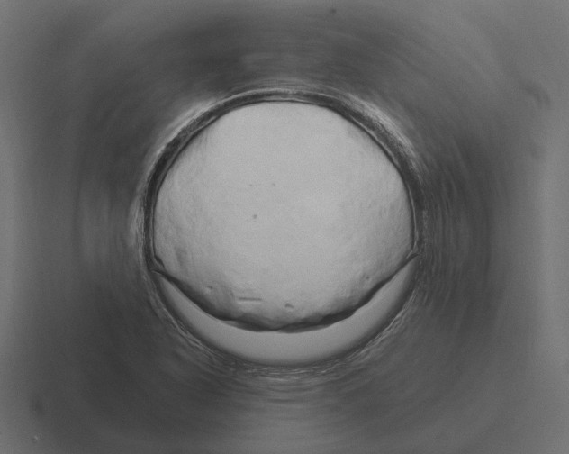 X0000116281318200912291345