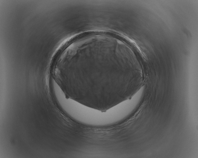 X0000116281319200912291345