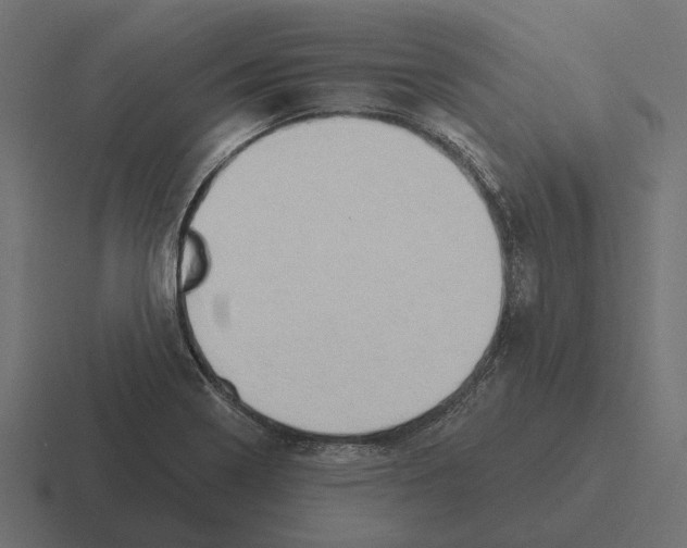 X0000116281322200912291345