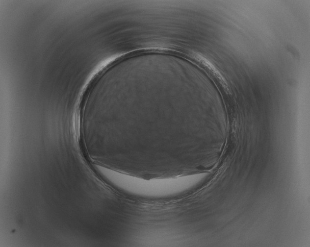 X0000116281323200912291345