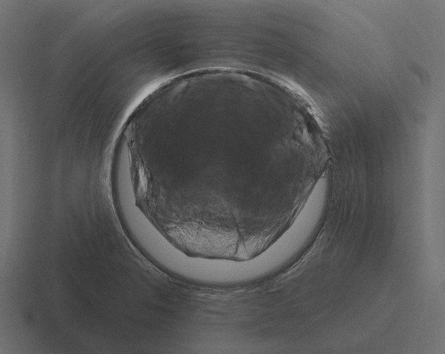 X0000116281326200912291345