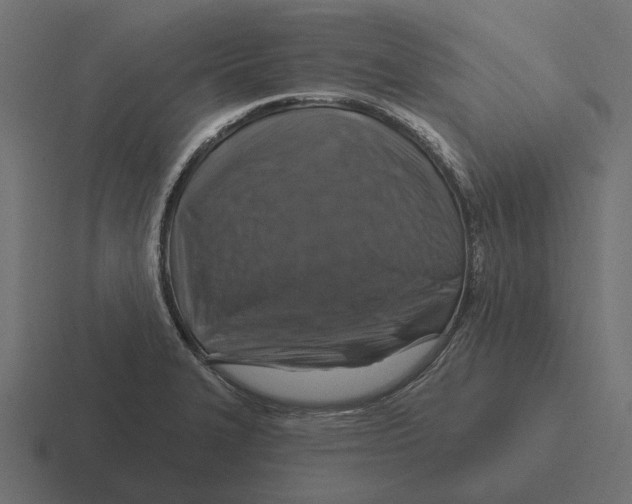 X0000116281327200912291345