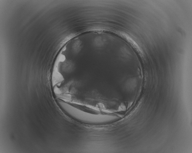 X0000116281329200912291345