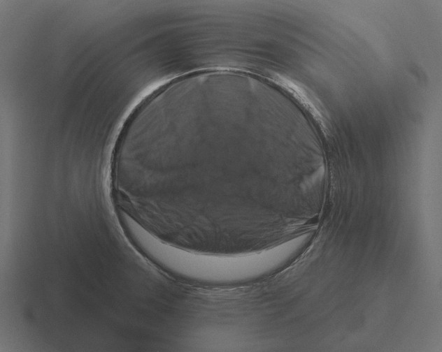 X0000116281331200912291345