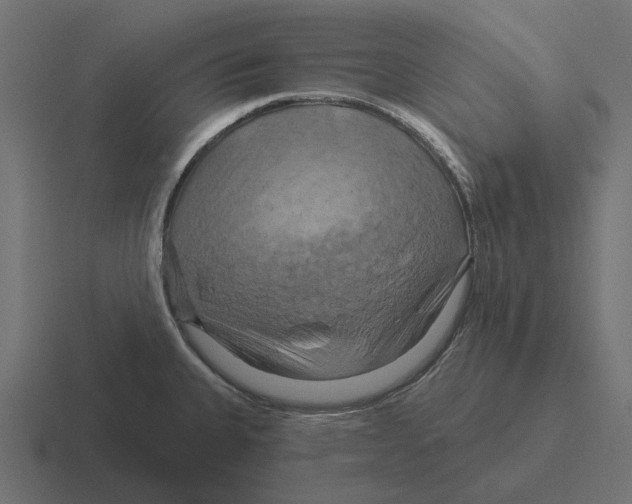 X0000116281335200912291345